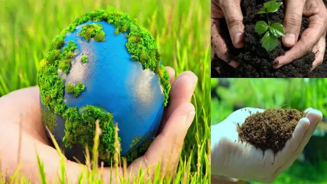 تاثیر کودهای آلی بر سلامت جامعه و محیط زیست
